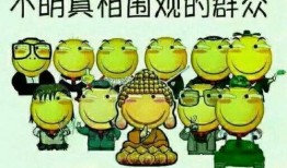 吃瓜群众内测版,带你领略全新社交体验